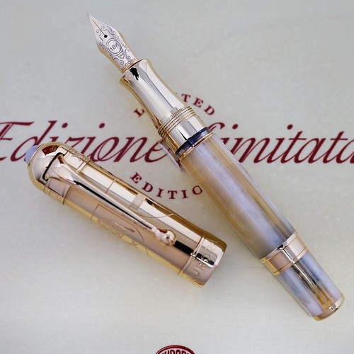 Penna stilografica aurora papa - penna,