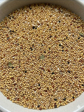 Mix Uccelli Esotici - Mangime