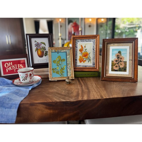 Vintage botanical framed - framed, art