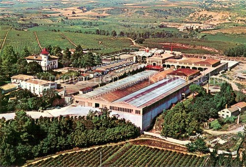 Cavas codorniu vista - cavas,