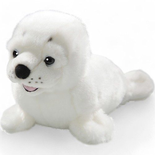 Carl dick foca animale di - foca,,
