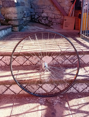 Campagnolo ruota anteriore - ruota,