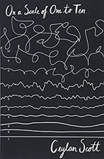 On a Scale of 1 to 10 Paperback Ceylan Scott