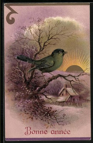 Piccolo uccellino verde - ak,