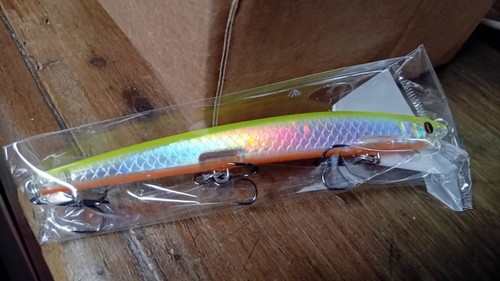 Esca pesca spigola - esca,
