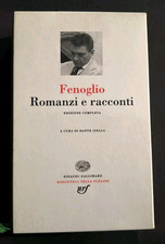 Beppe Fenoglio Romanzi e