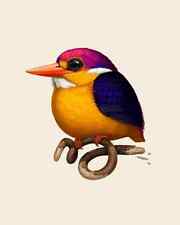 Sir Mike Mitchell - Rufous-backed Dwarf Kingfisher Bird AP Edition 2022