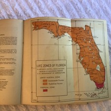 Florida Bird Life-Arthur H