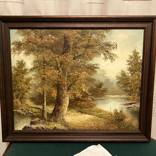 Cafieri paesaggio boschivo - paesaggio,