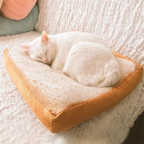 Creative toast bread cat - bread, bed