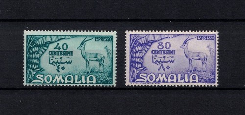 1950 somalia afis - 1950,