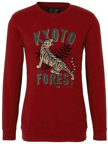 Maglione shiwi uomo kyoto - maglione,