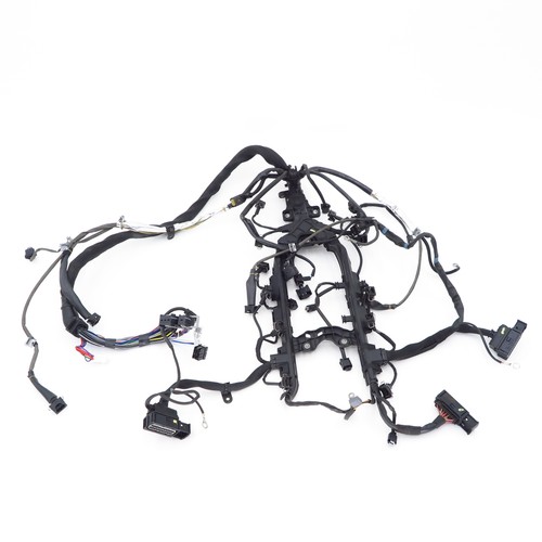 Cablaggio imbracatura set - imbracatura,