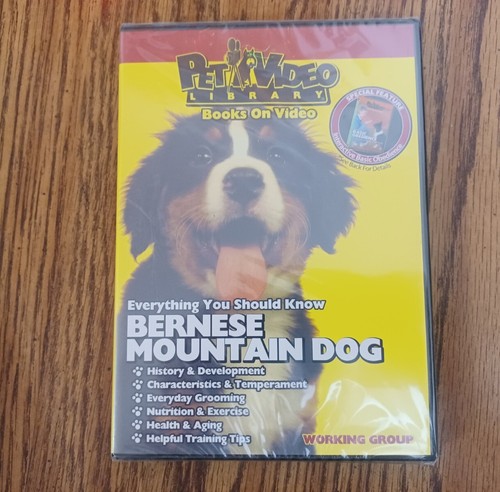 Bernese mountain dog an - bernese, dog:
