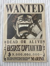 One Piece Wanted Poster
