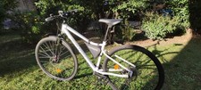 Bici ibrida riverside 500