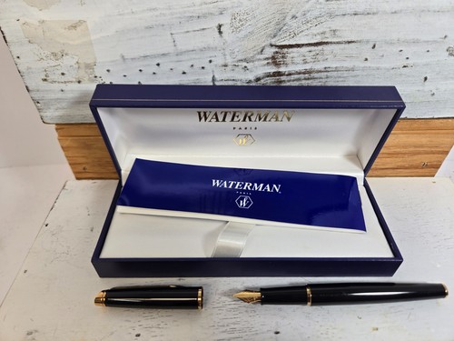 Penna stilografica waterman - penna,