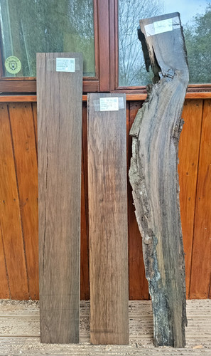 Legno palude morta raro - -,