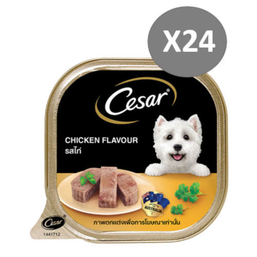 Cesar cibo umido per - cesar,