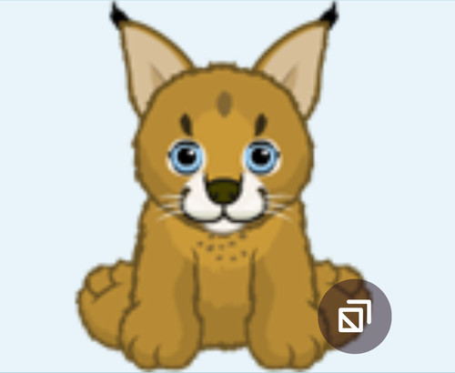 Webkinz caracal kitten - webkinz,