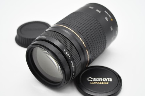 Canon 300mm 5 - canon, 75-300mm