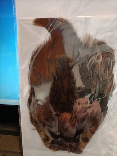 Collo gallo brown - collo, di