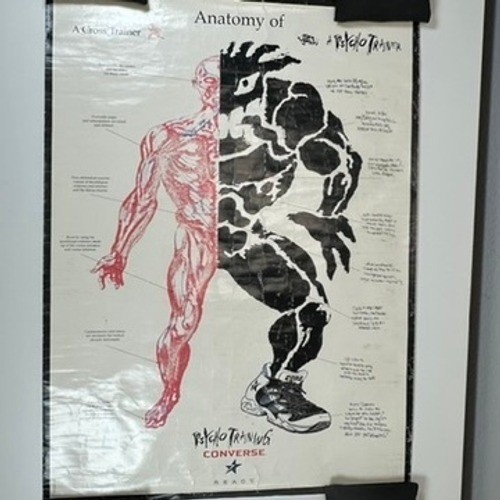Poster converse anatomy - poster, of