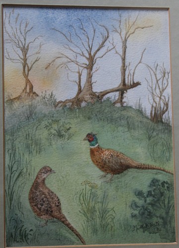 Fagiani quadro acquerello - -,