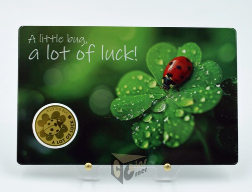 Little bug lot - a,