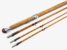 Hardy Wye Palakona canna 12’