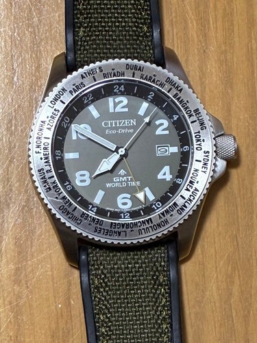 Citizen promaster land - promaster,