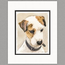 Cappotto Parson Jack Russell