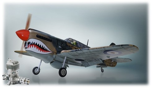Phoenix model p40 warhawk - phoenix,