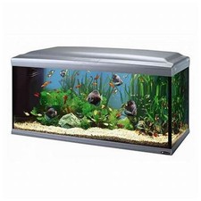 Acquario Ferplast Cayman 110