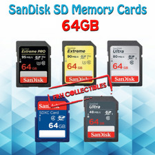 Scheda SD SanDisk 64 GB
