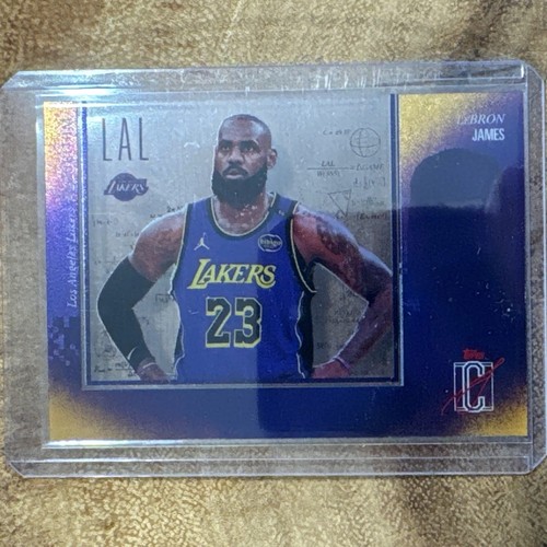 Custodia lebron james - custodia,