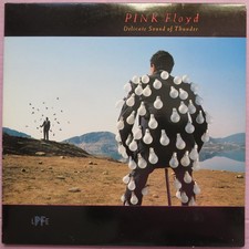 PINK FLOYD - DELICATE SOUND OF THUNDER -  VINYL LP ITALY 1988   EX/EX+