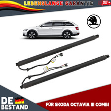 Coppia molle a gas portellone