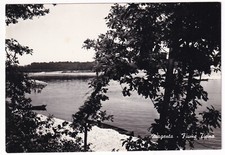 P01151 - CARTOLINA MAGENTA - FIUME TICINO CON BARCA - g/nv