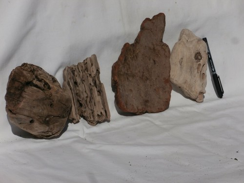 Legno mare piatto largo - di,