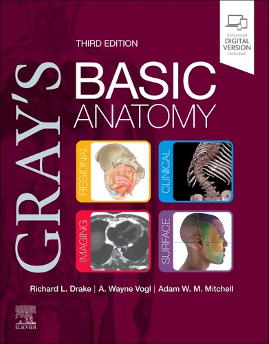 Gray basic anatomy - gray's,