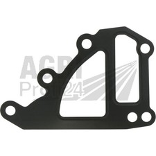 Dichtung für Wasserpumpe Same