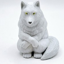 Samoiedo Cane Animale da