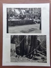 Stampa del 1932 Portofino san