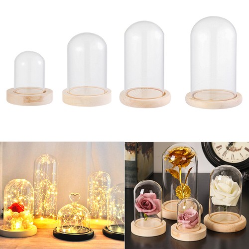 Glass dome display bell - display,