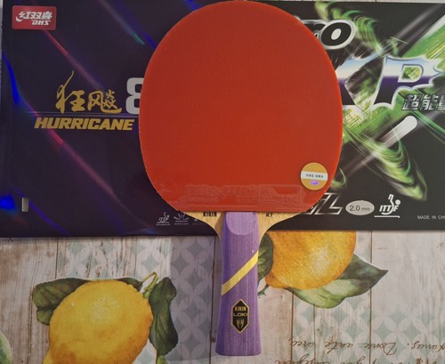 Racchetta ping pong custom - racchetta,