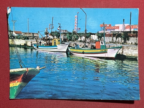 Cartolina margherita di - -,