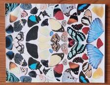 Damien Hirst Butterflies 2004