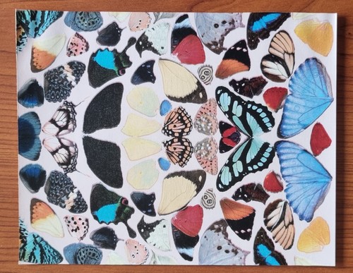 Damien hirst butterflies 2004 - hirst,