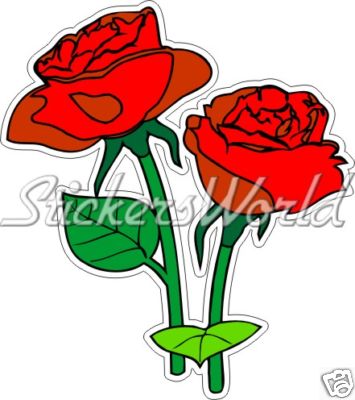 Rose fiore - rose, inglese